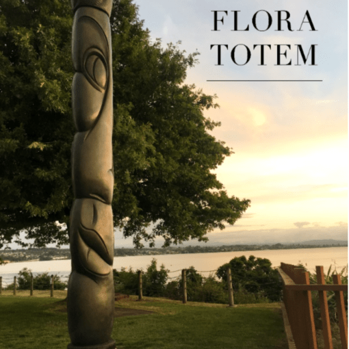 Taupo Sculpture Trust March 2018 Newsletter